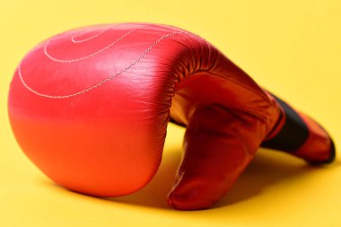 Dövüş ve eğitim için deri kutu ekipmanı.