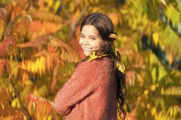 Jogue mais ficar feliz. Criança pequena feliz sorrindo na paisagem outonal. menina usar folhas de outono no cabelo. Desfrutando de felizes férias de outono — Fotografia de Stock