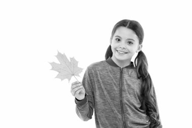 Sonbahar, her yaprağın çiçek olduğu ikinci bahardır. Kız çocuğu düşmüş akçaağaç yaprağını tutuyor. Mutlu küçük çocuk sonbahar yaprağıyla oynuyor. Çocuk modası. Beyaz yaprak üzerinde izole edilmiş bir çocuk. Kara Cuma konsepti