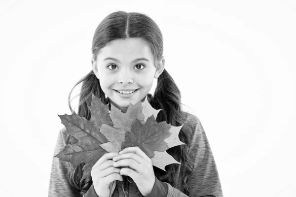 Utforskar flora. En liten flicka som firar hösten. Naturen förändras. Höstdags. Vilken färgstark årstid. En liten flicka välkomnar höstsäsongen. Grabben flicka söt ansikte hålla löv. Barn med höstgula blad — Stockfoto