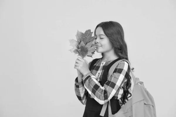 Aussi belle que l'automne. Un petit écolier tient des feuilles d'automne. Petite fille profiter feuillage d'automne. Célébrez les vacances d'automne. À l'école. Saison d'automne. Retour à l'école, espace de copie — Photo