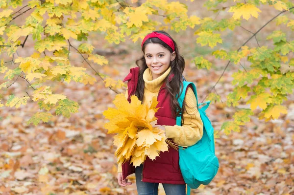 Ce frumuseţe. adolescenta transporta rucsac în drum spre școală. Copilul merge în pădurea de toamnă sau în parc. Vremea sezonieră de toamnă. fericirea copilăriei. frumuseţe şi natură. copil fericit aduna frunze de arțar galben — Fotografie, imagine de stoc