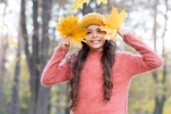 Enfant d'automne en bonnet tricoté élégant et pull chaud profiter de la journée dans la forêt tenant des feuilles d'érable jaune comme symbole de la saison d'automne, enfance heureuse — Photo