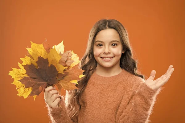 Őszi szimbólum. Egyszerű csokor. Leveleket gyűjtök. Természeti kincsek. A természet változásai. Boldog kislány juharfalevéllel. A kisgyerek őszi leveleket tart. Aranyos, boldog, mosolygós gyerek, aki levelekkel játszik. — Stock Fotó