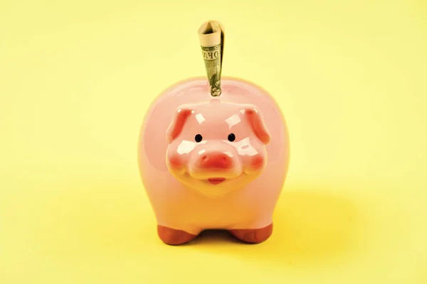 Banking account. Earn money salary. Money budget planning. Financial wellbeing. Piggy bank pink pig stuffed dollar banknote cash. Save money. Economics and finance. Credit concept. Money saving