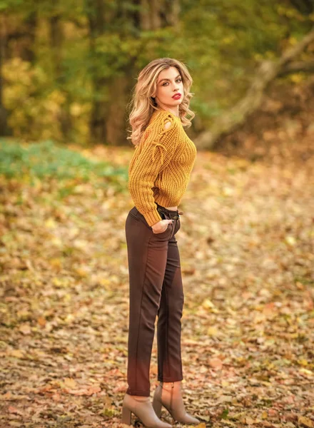 Trendy clothes. Woman wear warm sweater nature background defocused. Gorgeous lady feeling cozy in woolen sweater. Walk in fall park. Fancy girl wear knitted sweater. Style is all about balance