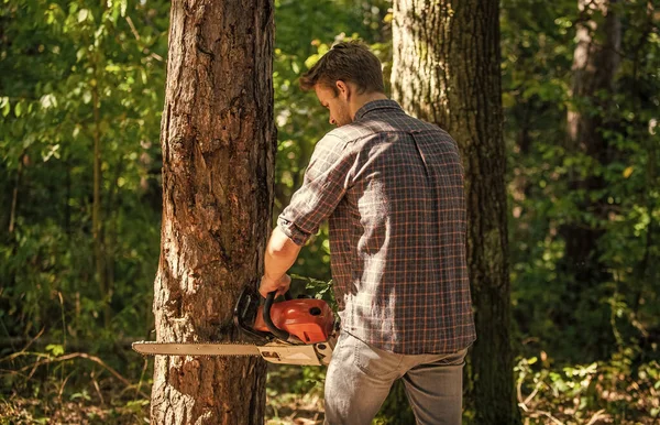 森の男は木を切るためにのこぎりを使う。薪でピクニックキャンプファイヤーを探せ。野生の自然の中で生きている。人間と自然。木の上を歩く男。森の中のポチャー。森林破壊だ。レンジャーやポーチ — ストック写真