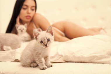 Kedi ve bayan. Neşeli evcil hayvan. Kadın mükemmel vücut ve kedi. Seksi manken, sevimli kedi yavrusu seçici odağı oynuyor. Kitty ile oyna. Çekici güzel kız, sevimli kedilerle rahatlıyor. Yatakta kediyle oynamak.