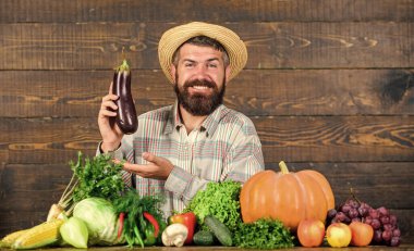 Bahçıvanlık ve tarım sistemleri belirli teknikler önerir. Organik bahçecilik konsepti. Organik ürünler yetiştir. Ev yapımı organik yiyecekler. Sakallı, tahta arka planı olan bir adam. Organik sebzeli çiftçi