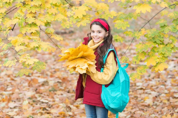 Fortunato ad iniziare la giornata qui. moda autunno bambino. stagione romantica per ispirazione. infanzia felice. Torniamo a scuola. adolescente tenere foglie d'acero nel parco. stagione autunno bellezza. godere della giornata nella foresta — Foto Stock