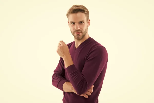 male beauty standards. autumn fashion for men. confident businessman has stylish haircut. charismatic guy. handsome unshaven man isolated on white. man in purple jumper. Man maintaining fashion blog