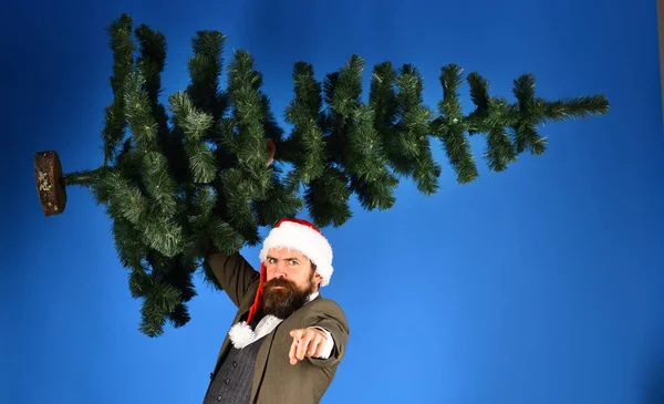 Businessman with raging face holds Christmas tree up — Stock Photo, Image