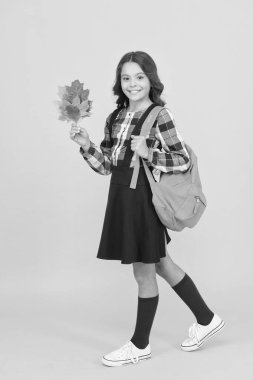 Şık bir okul havası. Küçük mutlu çocuk okul elbisesinin içinde resmi görünüyor. Moda görünümlü sevimli bir kız. Moda mankeni modası. Okul kıyafet kuralı.