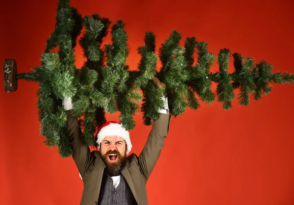 Empresário com rosto animado segura árvore de Natal careca para cima. — Fotografia de Stock