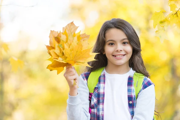 Досліджуючи світ. сезонна погода. щастя дитинства. краса і природа. щаслива дитина у випадковому стилі. дівчина-підліток носить рюкзак на шляху до школи. дитина в осінньому лісі. осіннє кленове листя в парку — стокове фото