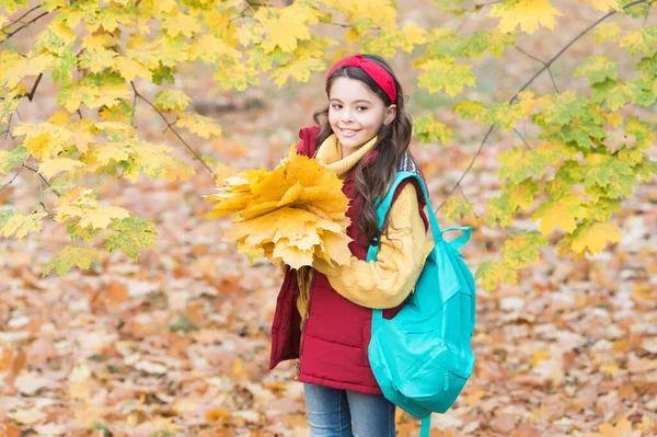 Perfect autumn day of cheerful kid with school bag and autumn maple leaves arrangement walking in fall season park in good weather, school time — Stock Photo, Image