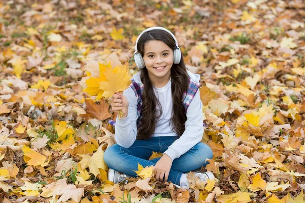 Tökéletes őszi nap vidám gyerek hallgatni audio könyv vagy zene visel fülhallgató őszi szezonban park játék sárga lehullott juharfalevelek, online iskolai oktatás — Stock Fotó