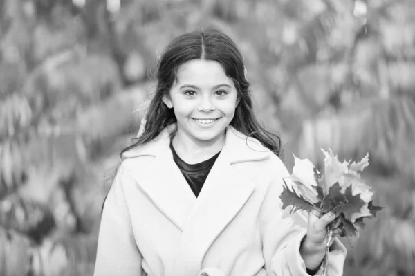 Mélanges diffuseur automne. Joyeux enfant marche sur le paysage d'automne. Petit enfant profiter de marcher dans le parc d'automne. Petite fille s'amuser et jouer avec les feuilles d'automne. Temps frais d'automne — Photo