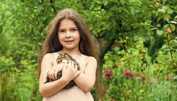 Petite fille jouer avec chaton mignon chat nature fond, concept enfant ludique — Photo