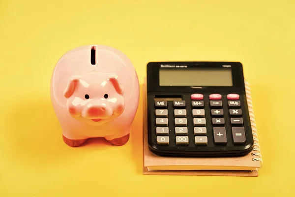 Save money. Banking account. Earn money salary. Money budget planning. Calculate profit. Piggy bank pink pig and calculator. Financial wellbeing. Economics and finance. Credit concept. Money saving