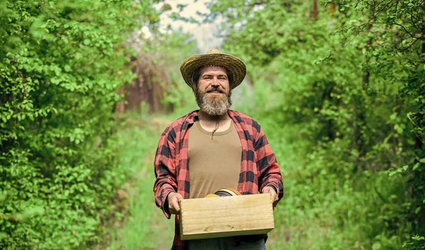 Trädgårdsmästare hold box med trädgårdsredskap. Trädgårdsråd. Trädgårdstips. Trädgårdsskötsel. Gammal bonde planterar växter. Planteringssäsong. Mannen skäggig hipster samla skörd. Ranch-mannen. Ekologisk odling — Stockfoto