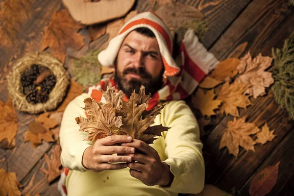 Thoughtful handsome. Staying cheerful any season. autumn male fashion. Carefree and happy. man hold maple leaf. canada. hipster relax on autumn background. handsome in autumn style. human in nature