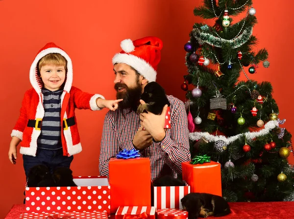 Ο μπαμπάς με γενειάδα και το παιδί κρατάει σκυλιά κοντά στο χριστουγεννιάτικο δέντρο. — Φωτογραφία Αρχείου