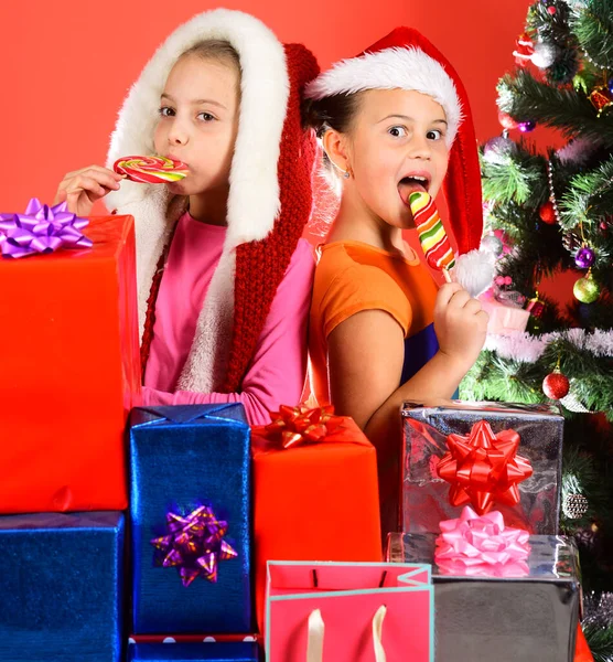 Happiness and holidays concept. Girls celebrate Christmas, together Royalty Free Stock Images