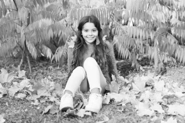 Güneşli bir hafta sonu. Sonbahar sıcağı. Sonbahar parkındaki zarif, güler yüzlü kız. Düşen yapraklar. Sonbahar doğası. Küçük mutlu çocuk yapraklarla oynuyor. Parkta güneşli bir günde dinlenen bir kız. Güzel sezon