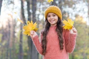 Sonbahar ormanlarında yürürken ya da sonbahar mevsiminde düşen akçaağaç yapraklarıyla örgü şapka ve süveter giyen çocuklar için...