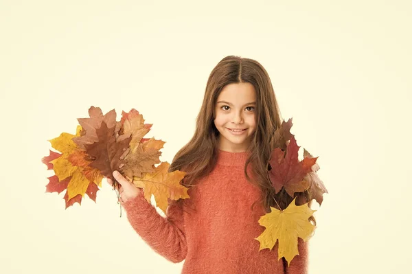 Stagione autunnale. Ragazzo con foglie cadute sfondo bianco. Felice piccola ragazza acero foglie. Ragazza bambino maglione accogliente. Concetto Hygge. Piaceri d'autunno. Mi sento a mio agio in questi giorni. Che giorni accoglienti. Felicità infantile — Foto Stock