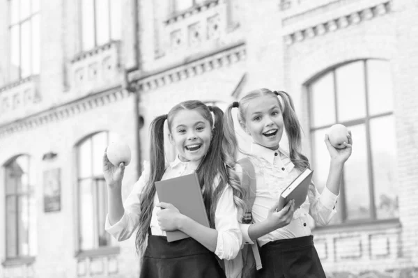 Mi amigo gracioso. de vuelta a la escuela. dos niñas pequeñas listas para estudiar. hacer los deberes juntos. hermanas rompiendo con Apple. infancia sana y feliz. hermandad y amistad. mejores amigos de la escuela — Foto de Stock