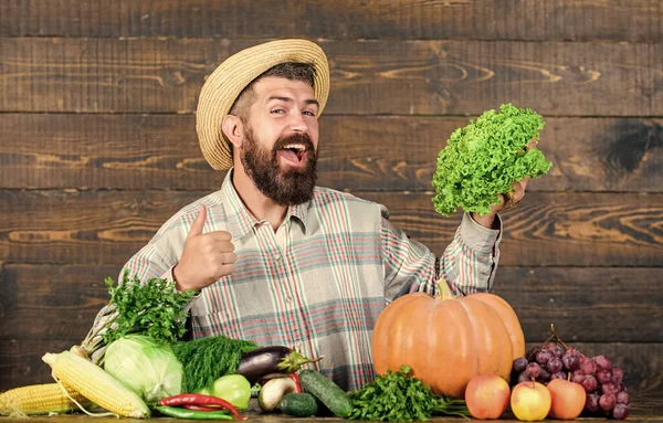 Farm market harvest festival. Man bearded farmer with vegetables rustic style background. Sell vegetables. Local market. Locally grown crops concept. Homegrown vegetables. Buy vegetables local farm