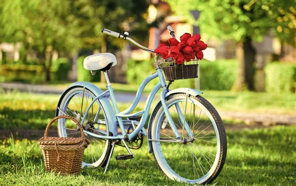 Retro-Fahrrad mit Tulpenblumen im Korb. Oldtimer-Fahrrad im Park. Frühlingsgarten mit grünem Gras. Natur voller Farben und Gerüche. entspannen und reisen. romantisches Date. Jahreszeit der Liebe. Schönheit des Frühlings — Stockfoto