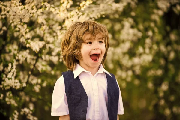 Mutluluk. Heyecanlı çocuk. Sevimli çocuk bahar bahçesi. Uluslararası Çocuk Günü. Mutlu bir çocukluk. Sağlıklı bir çocuk. Çocuk bakımı. Yaz tatilini kutlayın. Erkek doğası geçmişi. Çocuk gelişimi