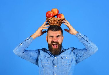 Çiftçilik ve sonbahar ürünleri konsepti. Adam ev yapımı hasat sunar..