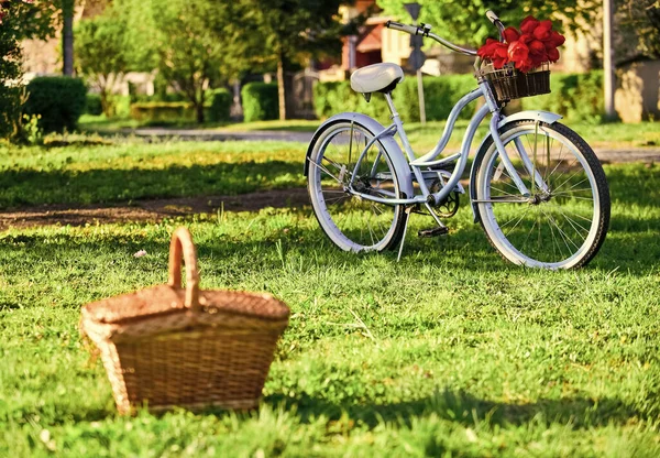Vintage cykel i parken. have med grønt græs. selektiv fokus. Slap af og rejs. kurv til picnic. romantisk dato udendørs. sæson af kærlighed. Forårets skønhed. retro cykel med tulipan blomst i kurv - Stock-foto