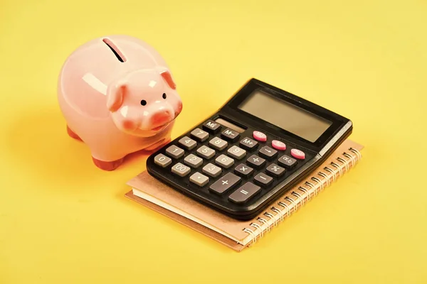 Banking account. Earn money salary. Money budget planning. Calculate profit. Piggy bank pink pig and calculator. Financial wellbeing. Economics and finance. Credit concept. Money saving. Save money