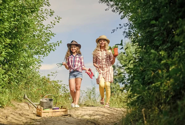 Girls with gardening tools. Sisters helping at farm. On way to family farm. Agriculture concept. Adorable girls in hats going planting plants. Kids siblings having fun at farm. Eco farming concept — Stock Photo, Image