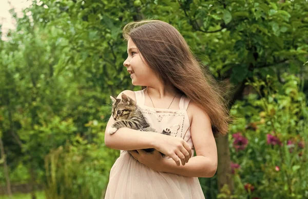 Eu tomo conta de ti. menina pequena segurar gato bonito nas mãos. A miúda adora o seu animal de estimação. humanos e animais. amor e cuidado. gatinho fofo na mão de criança bonita. pouca beleza ao ar livre com animal de estimação. infância feliz — Fotografia de Stock