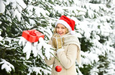 Eğlenmene bak. En iyi dileklerimle. Kış tatili konsepti. Kadın sıcak giysileri, karlı orman. Boks günü. Mutlu noeller. Marketten noel ağacı seçiyorum. Doğa karla kaplı. Yeni yıl. Kız Noel 'i kutluyor