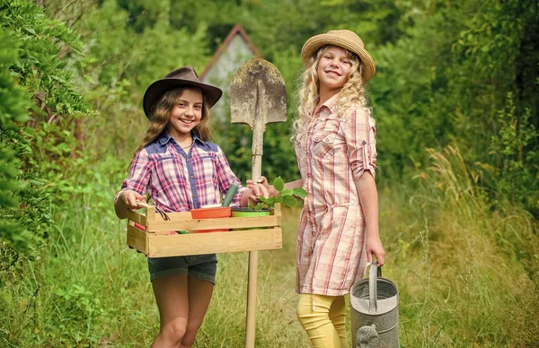 Vidéki nyár. Kertek nagy hely művelni tartalmas és szórakoztató tanulási élmény a gyermekek számára. Gyereklányok kertészeti eszközökkel. Kertészeti alapokat. Kertészeti oktatás életciklus-folyamata — Stock Fotó