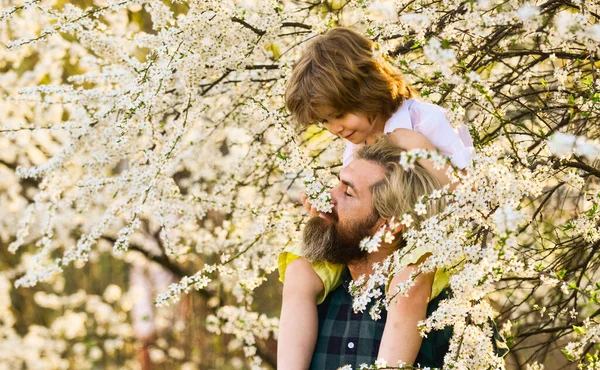 Playing with daddy. childhood and parenthood happiness. love and support. father and son at tree. spring time together. little boy feel happy with dad. family having fun. blossoming tree in park — Stock Photo, Image