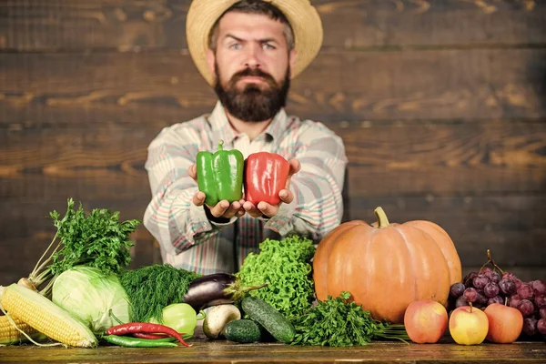 Vendere verdure. Cappello contadino in paglia con vendemmia fresca. Concetto di raccolto locale. Tipico contadino. Festa del raccolto del mercato agricolo. Uomo maturo contadino barbuto tenere verdure fondo di legno — Foto Stock