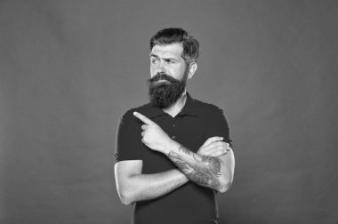 Berber servisini destekliyorum. Sakallı adamın portresi kırmızı arka plan. Bıyıklı acımasız bir adam. Sakallı hippi. Kuaför salonu. Sakallı, tıraşsız bir adam. Vahşilik ve güven. Berber dükkanı modeli