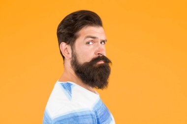 Güzel sakal ve bıyık bakımı. Hipster görünümü. Sakal ve berber konsepti. Sakallı, hippi tarzı sakallı ve sarı bıyıklı bir adam. Ben mükemmelim. Berber ipuçları sakal bırakır