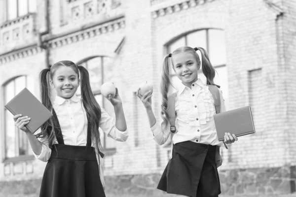 Mejores amigos de la escuela. de vuelta a la escuela. dos niñas pequeñas listas para estudiar. hacer los deberes juntos. hermanas en la hora del almuerzo con manzana. infancia sana y feliz. hermandad y amistad — Foto de Stock