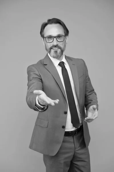 必要なものはここにあります。自信のあるビジネスマンだ。眼鏡をかけた頭のいい男。賢くて聡明だ。髭と眼鏡の男。実業家。会議発表 — ストック写真