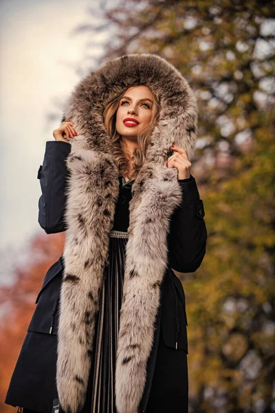 Sexy beauty. fashion and beauty. successful businesswoman in outdoor. autumn  female outfit. apparel for european winter. elegant woman wear fur coat.  stylish lady wear faux fur. Versatile Textures Stock Photo by ©stetsik