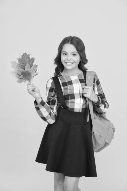 Okula giden tatlı liseli kız. Küçük liseli kız kavramı. Ufaklık. Stili öğrenmek için gereken her şeyle ilgili okul anlaşmalarına geri dönmek harika. Sırt çantalı ve yaprakları dökülmüş liseli kız. İyi okullar.